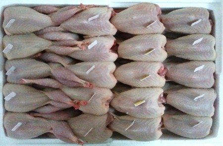 Caixa 20 codornizes 